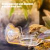 Magnetic Gecko Water Bowl view 3