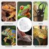Magnetic Gecko Water Bowl view 4