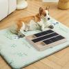 Dog Nail Scratch Board with Treat Box view 3