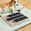 Dog Nail Scratch Board with Treat Box view 4