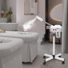 750W 2-in-1 Ozone Facial Steamer with Adjustable Stand view 3