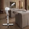 750W 2-in-1 Ozone Facial Steamer with Adjustable Stand view 4