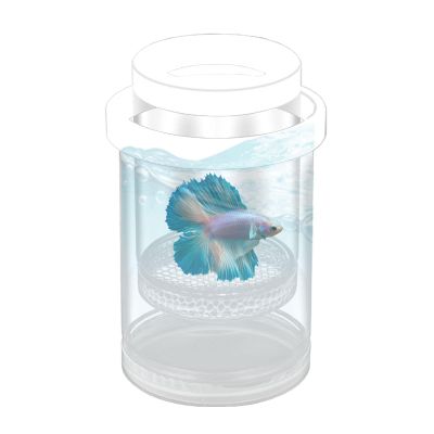 Floating Fish Breeding Box with Clear Protective Isolation