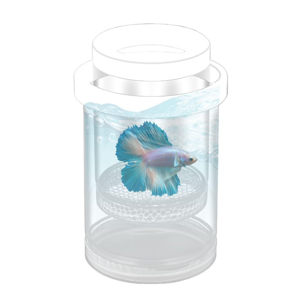 Floating Fish Breeding Box with Clear Protective Isolation