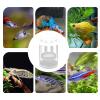 Floating Fish Breeding Box with Clear Protective Isolation view 4
