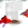 Automatic Fish Feeder - Aquarium Food Dispenser view 1