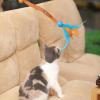 Catnip Bite Rope Toy view 3