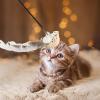 Cat Bird Toy with Bells and Feathers view 4