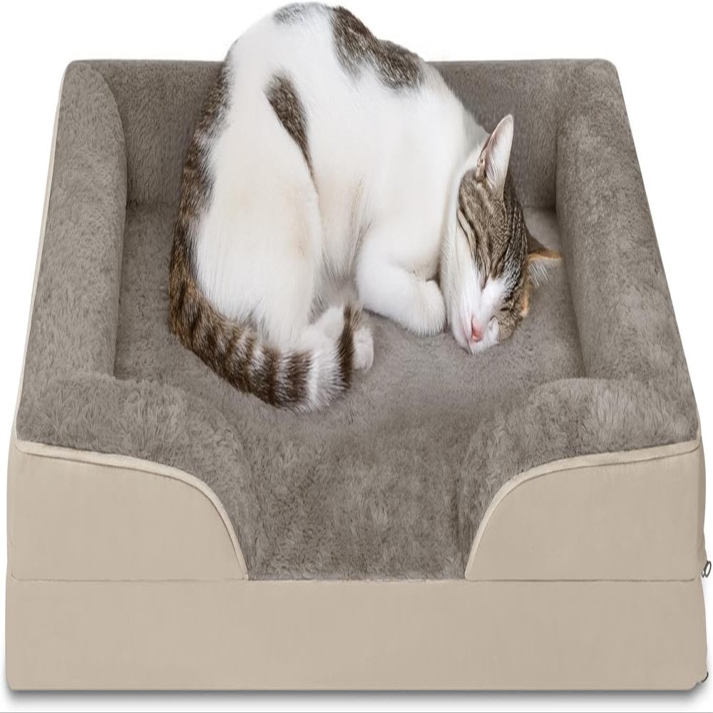 Ergonomic Cat Bed for European Shorthairs, Maine Coons & Small Dogs, 50 x 60 x 14 cm, Beige