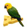 Natural Wood Parrot Perch view 3