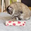 Catnip Plush Toy for Cats, Plush Cat Pillow view 2