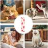 Catnip Plush Toy for Cats, Plush Cat Pillow view 4