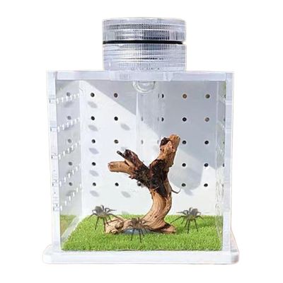 Reptile Tank - Transparent Turtle Tank with Humidifier