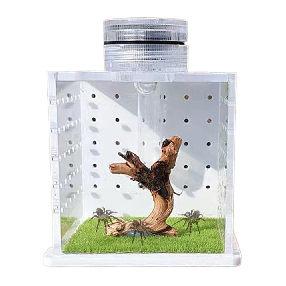 Reptile Tank - Transparent Turtle Tank with Humidifier