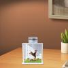 Reptile Tank - Transparent Turtle Tank with Humidifier view 2
