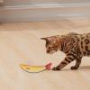 Cat Toy, Saury Fish with Catnip view 2