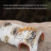 Reptile Climbing Toy, Reptile Habitat Cave view 2