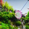 Aquarium Net view 2