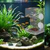 Aquarium Fish Feeding Tube, Food Dispenser view 4