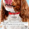 Ibera Gifts - Personalized Dog Tag with Engraving view 4