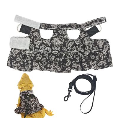 Dragon Harness and Leash