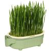 Generic Cat Grass Growth Kit view 1