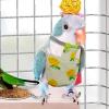 Reusable Washable Bird Clothing for Pigeons and Parrots view 3
