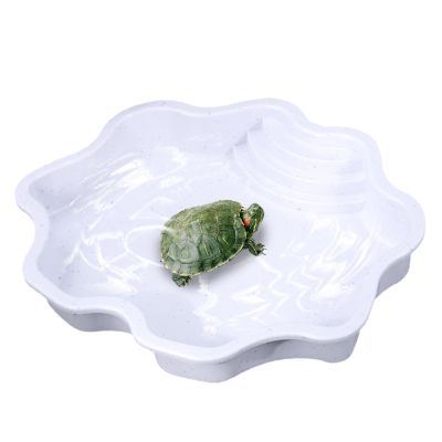 Reptile Water Bowl - Turtle Feeding Bowl