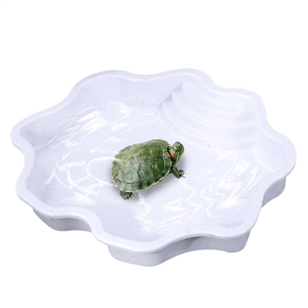 Reptile Water Bowl - Turtle Feeding Bowl