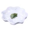 Reptile Water Bowl - Turtle Feeding Bowl view 1