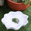 Reptile Water Bowl - Turtle Feeding Bowl view 3