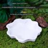 Reptile Water Bowl - Turtle Feeding Bowl view 4