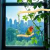 Wooden Bird Swing - Interactive Perch Toy view 2