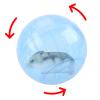 Qkbuza Hamster Balls, 2 Pack, Exercise Ball for Hamsters view 4