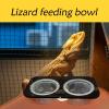 Crested Water Bowl for Reptiles view 4