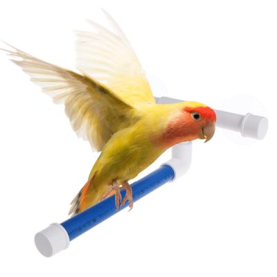 ETUCYNG Bird Shower Perch with Suction Cups for Parrots, Budgies and Cockatiels