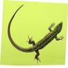 Mipcase EVA Reptile Carpet with Dirt and Feces Protection, Light Green view 2