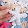 Resin Starfish Ornament, Yellow view 2