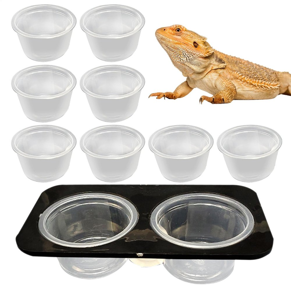 Reptile Water Bowl - Crested Water Bowl