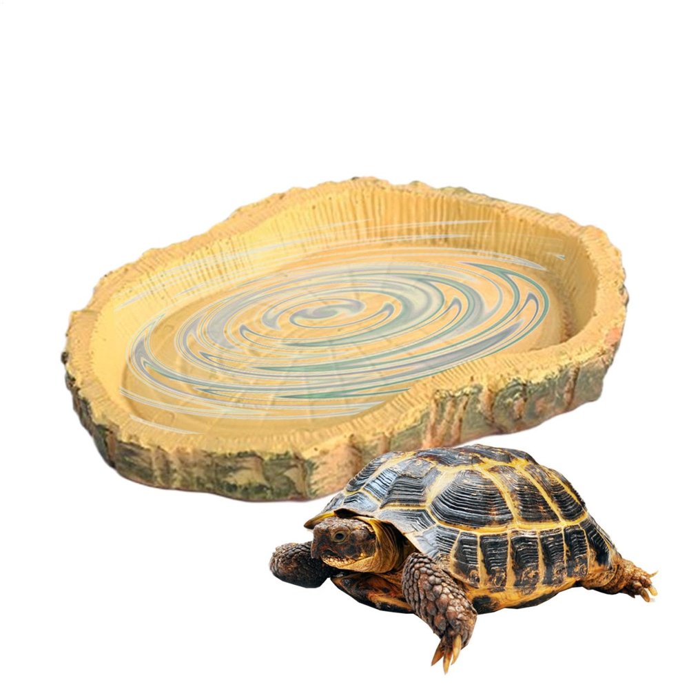 Turtle Feeding Dish, Reptile Food Bowl