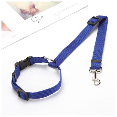 Adjustable Pet Car Safety Belt Leash, Blue