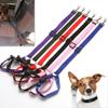 Adjustable Pet Car Safety Belt Leash, Blue view 3