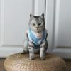 Frissin Cotton Pet Surgery Recovery Suit for Cats view 4