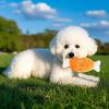 Generic Plush Cartoon Dog Chew Toy for Pets view 2