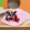 Small Animal Blanket view 2