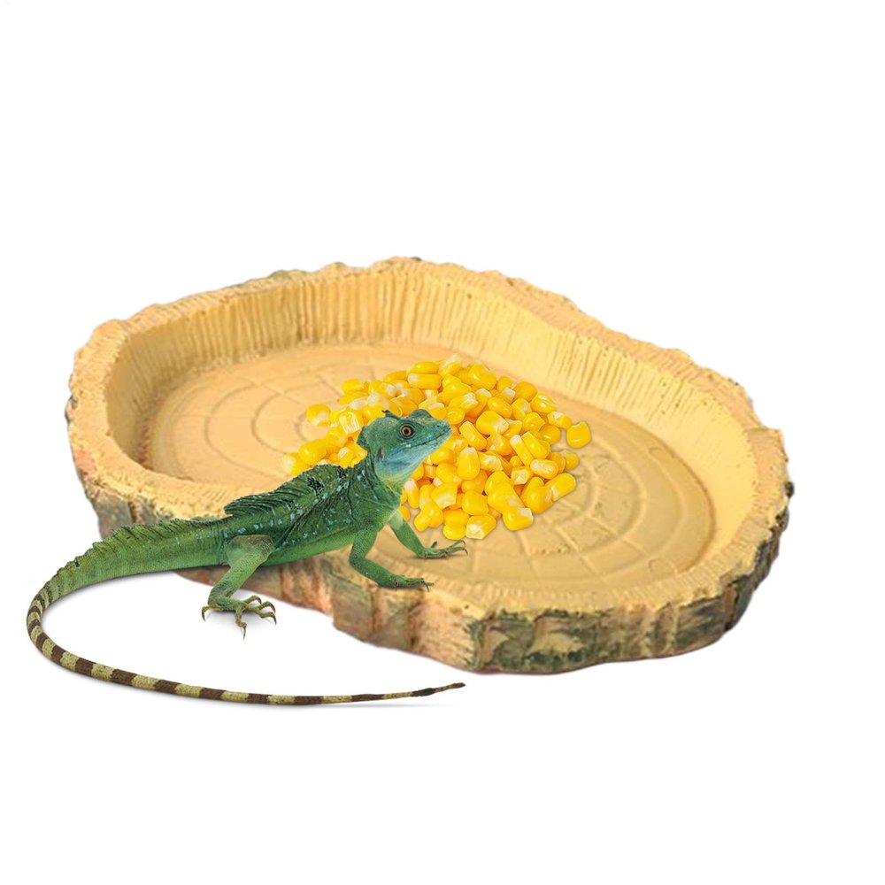 Turtle Feeding Tray – Lightweight, Low-Profile Reptile Feeder