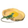 Turtle Feeding Tray – Lightweight, Low-Profile Reptile Feeder view 1