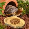 Turtle Feeding Tray – Lightweight, Low-Profile Reptile Feeder view 3
