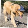 Adjustable Pet Baseball Cap with Ear Holes view 3