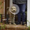 Expandable Puppy Gate for Home, No Drilling Required view 2